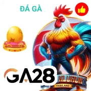 cmd368 01 Live Casino Trải nghiệm các bàn chơi trực tiếp với camera độ phân giải cao cù
